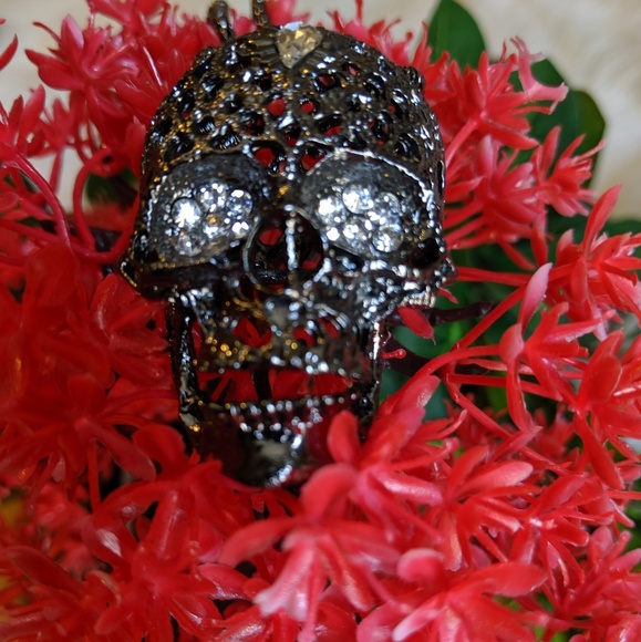 🆕Sugar Skull Chain🆕 - Picture 2 of 8